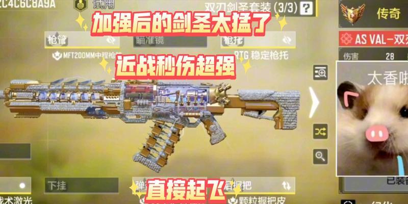 《使命召唤手游》中双刃剑圣的价格及购买建议（游戏中双刃剑圣的技能和属性简介，以及如何购买）