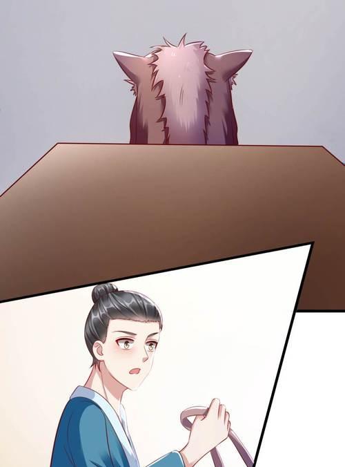 《以大燕王妃成为女帝》（用策略游戏中的技巧让你当上女帝！）