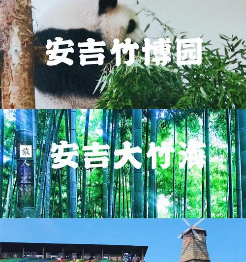 安吉英雄出装攻略（挑战游戏巅峰，成为无敌射手！）