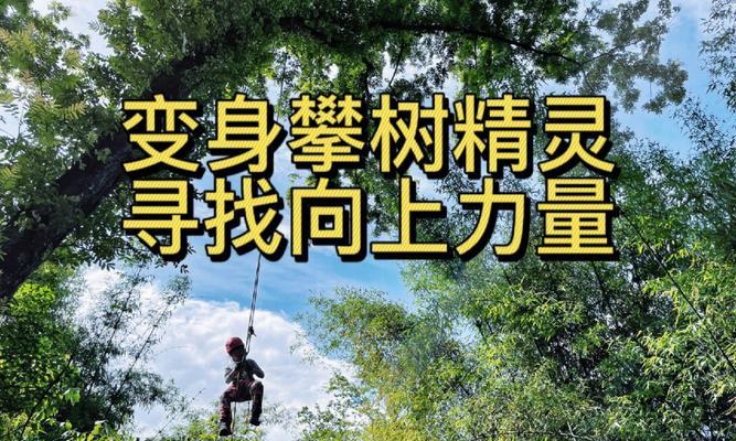 《古树精灵全攻略》（探索神秘森林，解锁古树精灵技能！）