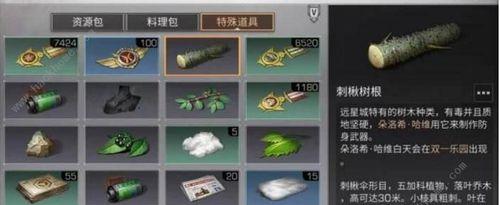 明日之后15庄出装攻略（15庄出装攻略详解，助你在明日之后庄园中闪耀光芒！）