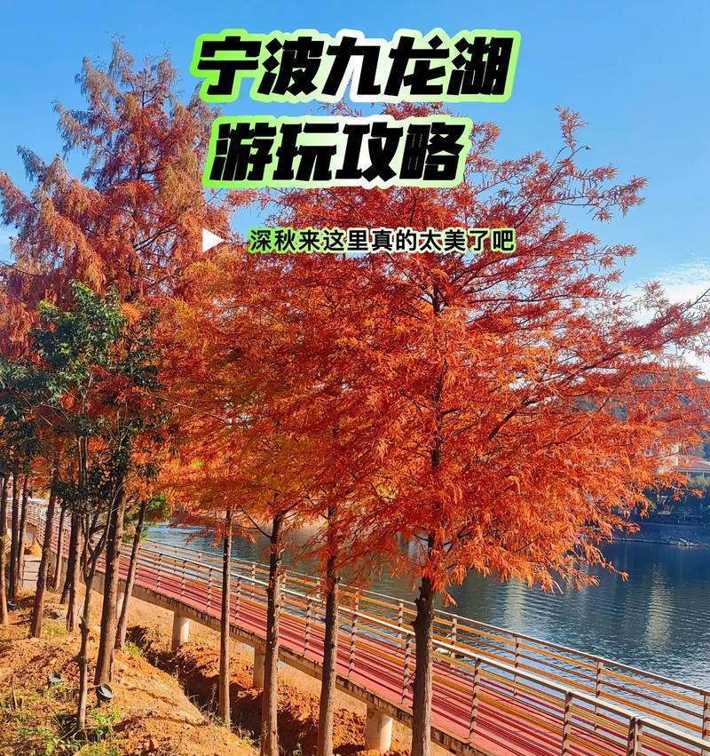 霜火岭宝藏攻略（探索迷失之地，揭开秘密）