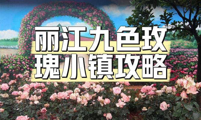 如何实现玫瑰小镇的升级攻略（打造独具魅力的旅游胜地）